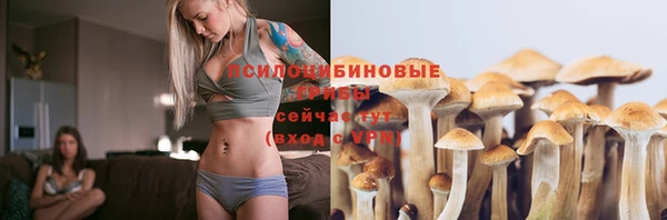 спиды Заводоуковск