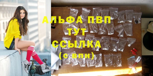 ECSTASY Заволжье
