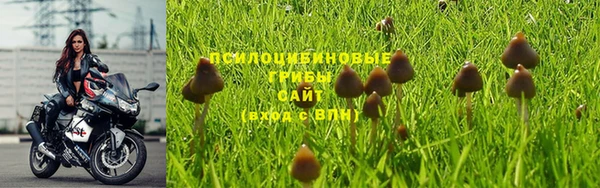 спиды Заводоуковск