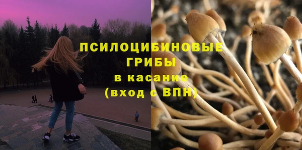 спиды Заводоуковск